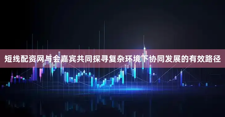 短线配资网与会嘉宾共同探寻复杂环境下协同发展的有效路径
