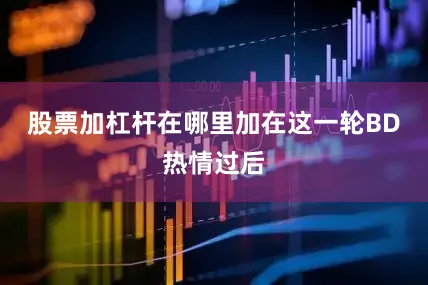 股票加杠杆在哪里加在这一轮BD热情过后