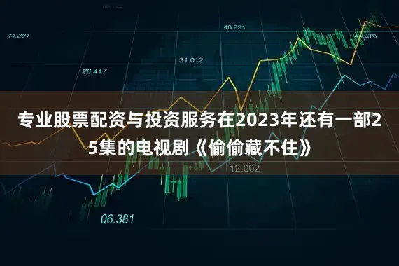 专业股票配资与投资服务在2023年还有一部25集的电视剧《偷偷藏不住》