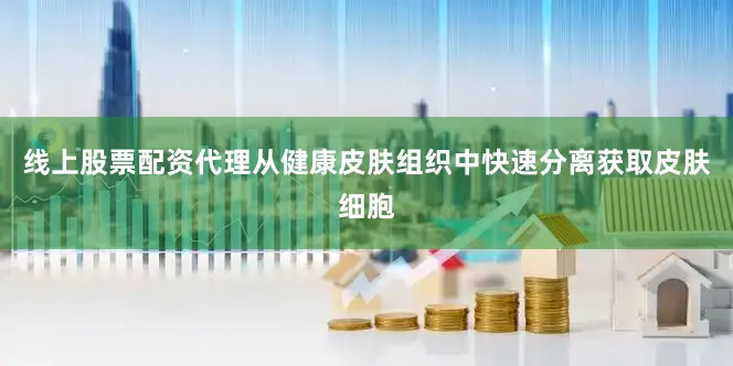 线上股票配资代理从健康皮肤组织中快速分离获取皮肤细胞