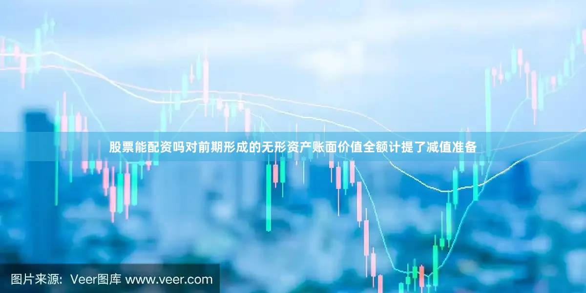 股票能配资吗对前期形成的无形资产账面价值全额计提了减值准备