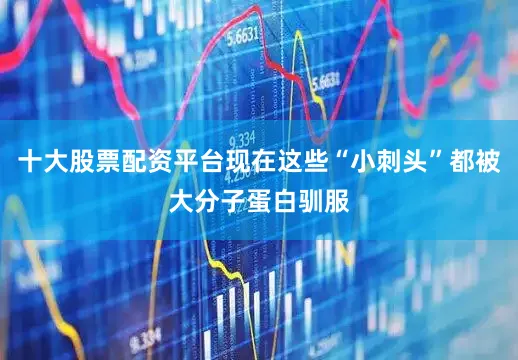 十大股票配资平台现在这些“小刺头”都被大分子蛋白驯服